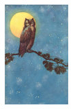 Owl with Full Moon
