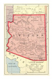 Buy Map of Arizona at AllPosters.com