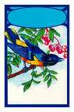 Bluebird in Cherry Tree