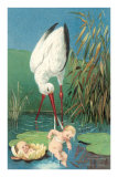 Stork in Marsh with Babies