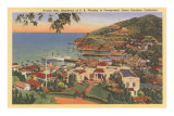 Avalon Bay, P.K. Wrigley Home, Santa Catalina