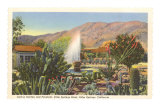 Cactus Garden, Palm Springs, California
