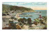 Avalon Bay, Santa Catalina