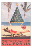 Conical Umbrella, Palm Trees, Beach