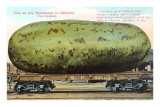 Buy Giant Watermelon on Train Car, Anaheim at AllPosters.com
