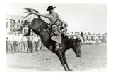 Bucking Bronco Photo Premium Poster
