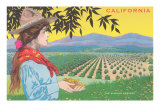 Buy Woman Holding Almonds, California at AllPosters.com
