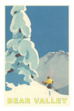 Big Snowy Pine Tree and Skier, Bear Valley