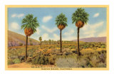 Vintage Rancho Mirage