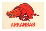 Arkansas Running Razorback
