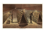 Champagne Vault