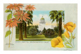 Buy State Capitol, Sacramento, California at AllPosters.com
