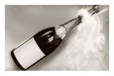Champagne Bottle Popping Cork