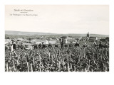 Grape Harvesters, France, Moet et Chandon