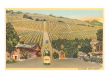 California Wine Country