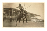 Bronco Buster, Bert Sibberton