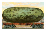 Buy A California Watermelon, on Flatbed Train Car at AllPosters.com
