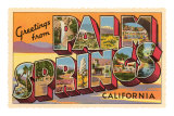 Greetings from Palm Springs, California