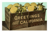 Buy Crate of Grapefruit at AllPosters.com