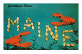 Buy Greetings from Maine, Lobster at AllPosters.com