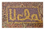 UCLA Stadium Card Display, Los Angeles, California