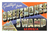 Buy Greetings from Okefenokee Swamp, Georgia at AllPosters.com