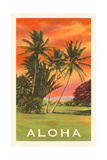 Aloha: Palm Trees