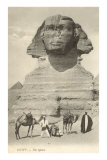 Sphinx, Giza, Egypt