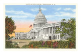 Buy Capitol, Washington, D.C. at AllPosters.com