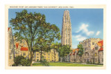 Yale University, New Haven, Connecticut