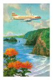 Buy Airliner over Hawaii at AllPosters.com
