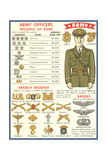 Army Officers Insignia
