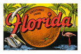 Greetings from Florida