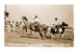 Woman Bronco Rider