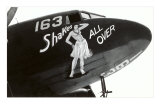 Nose Art, Shake All Over, Hula Girl