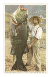 Huge Black Sea Bass, Catalina, California