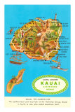 Buy Map of Kauai, Hawaii at AllPosters.com