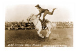 Woman Trick Rider
