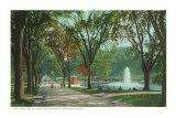 Buy Frog Pond, Common, Boston, Massachusetts at AllPosters.com