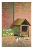 Beware of The Dog