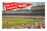 Buy Home of the Minnesota Twins at AllPosters.com