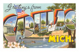 Greetings from Cadillac, Michigan