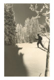 Cross-Country Skier in Profile