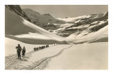 Trail of Cross-Country Skiers