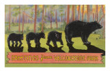 Greetings from Yellowstone National Park, Bears