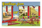 Greetings from University of New Mexico, Albuquerque, New Mexico