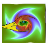 The Colored Duck