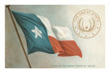 Buy State Flag of Texas at AllPosters.com