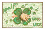 St. Patrick's Day, Pig and Shamrock