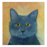 Russian Blue
